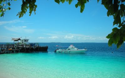 Balancing Economic Benefits and Environmental Damage: The case for Eco-Tourism in Malaysia