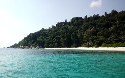 Would re-energising economies for a post-Covid-19 world mean rolling back on environmental protections on a rapidly changing ocean?