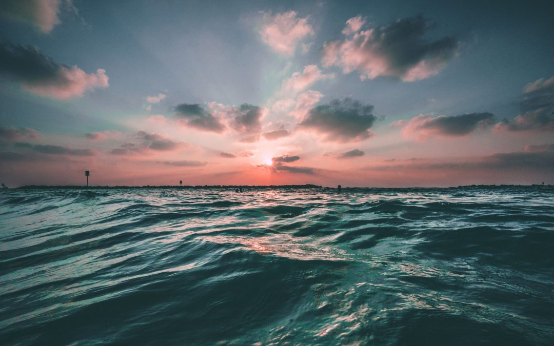 Why supercharging ocean protection of at least 30% of the Earth area is critical for human health and economic wellbeing