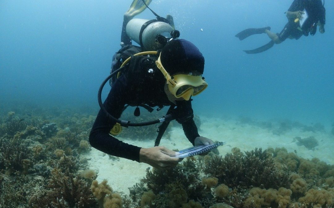 Reef Check Malaysia releases 2021 Annual Survey Report; launches ocean health awareness campaign