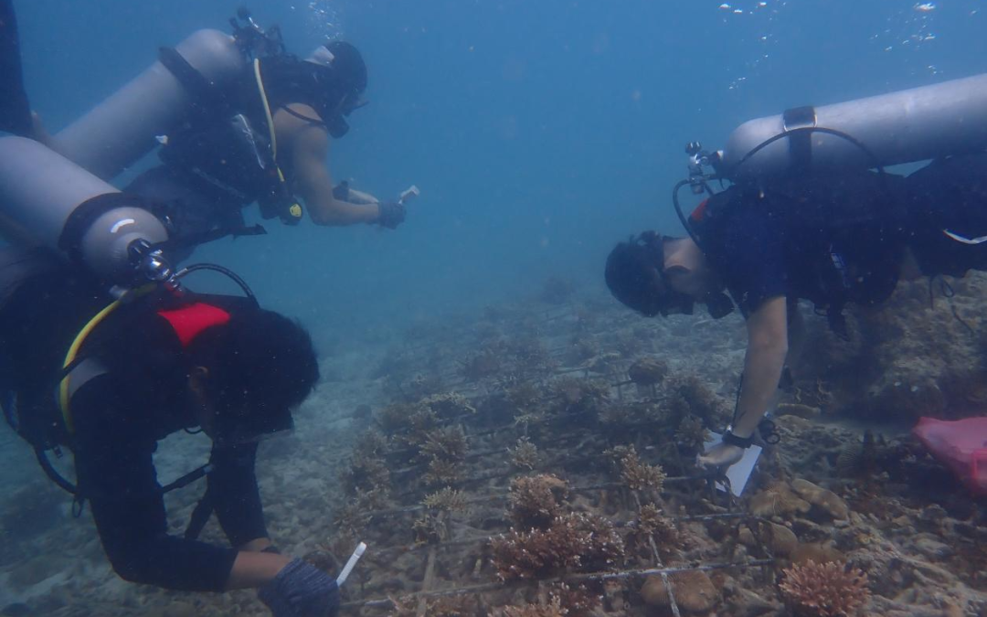 Pulau Redang’s Marine Conservation Efforts Thrive with Innovative Toolkit