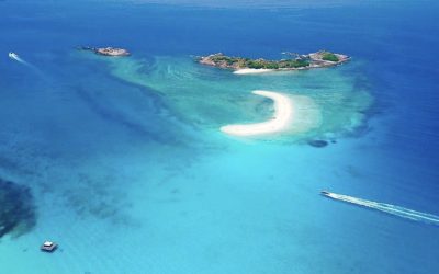 Our Oceans are in a World of Pain – time to celebrate World Oceans Day