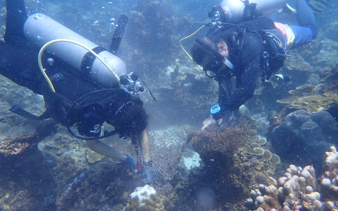 Reef Check Malaysia Empowers 10 Youths for Marine Conservation in the Mersing Islands