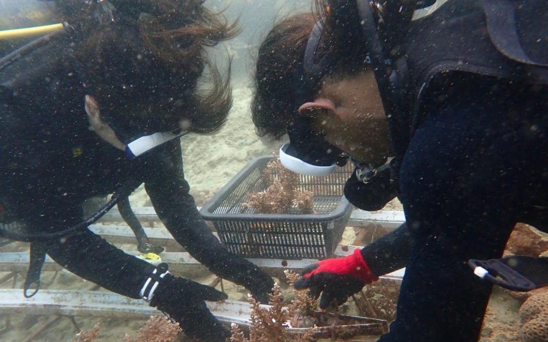 Bridging the Gap: Mechanisms to Enable More Holistic Marine Resource Management