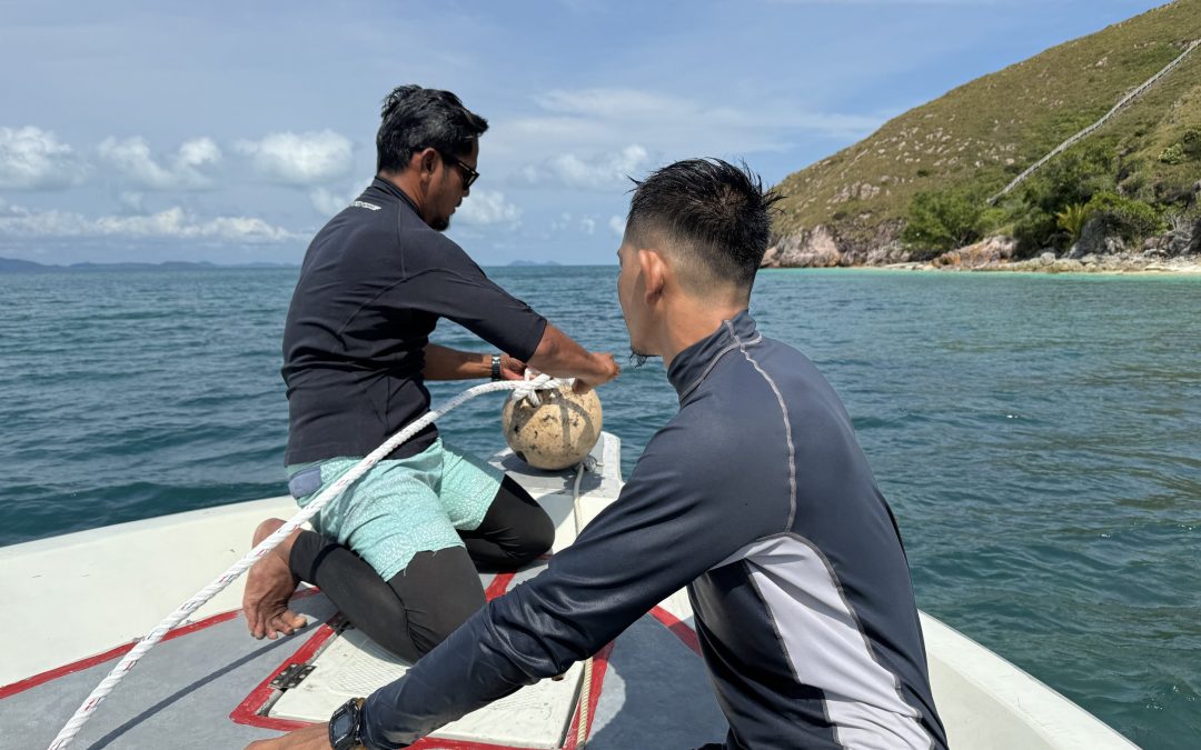 Cintai Mersing: January – March 2025