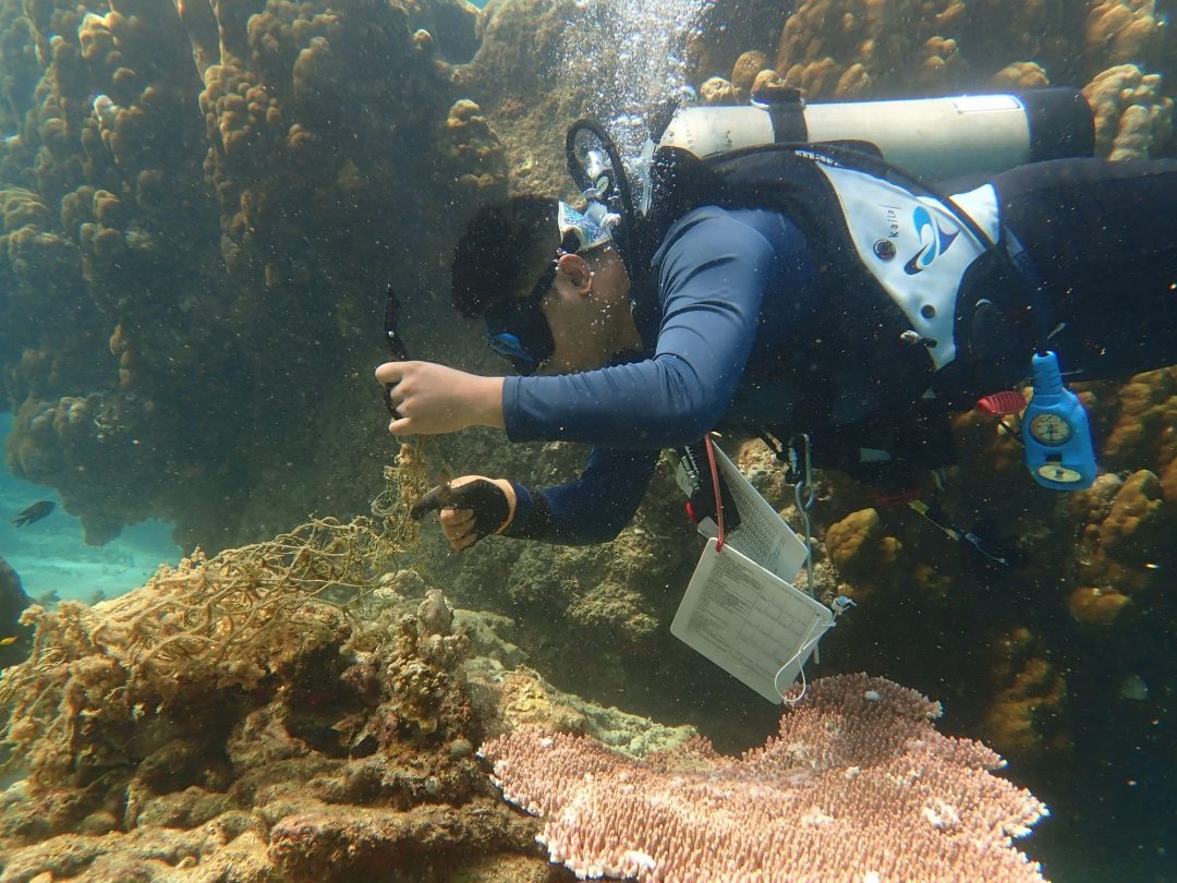 Mersing Group of Islands