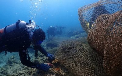 UNOC 2025: Why Do We Need an Ocean Conference?