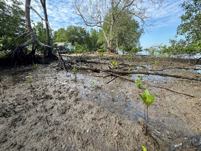 South of Johor: April – June 2025