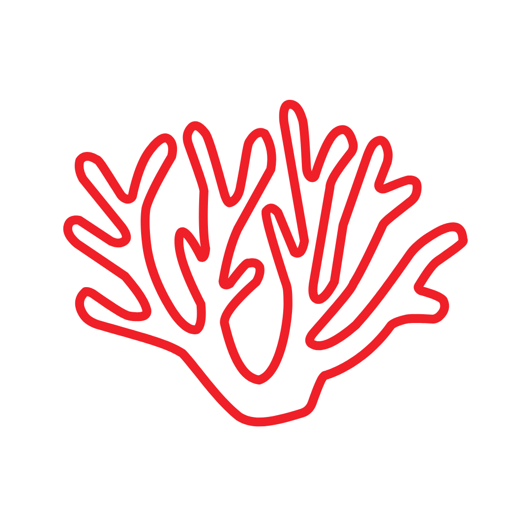 Coral Rehabilitation RCM