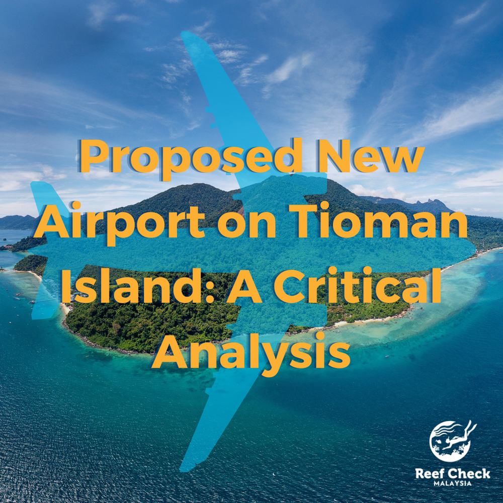 Proposed+New+Airport+on+Tioman+Island+A+Critical+Analysis+(1)
