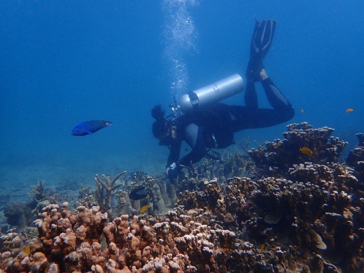 Cintai Tioman: April – June 2025