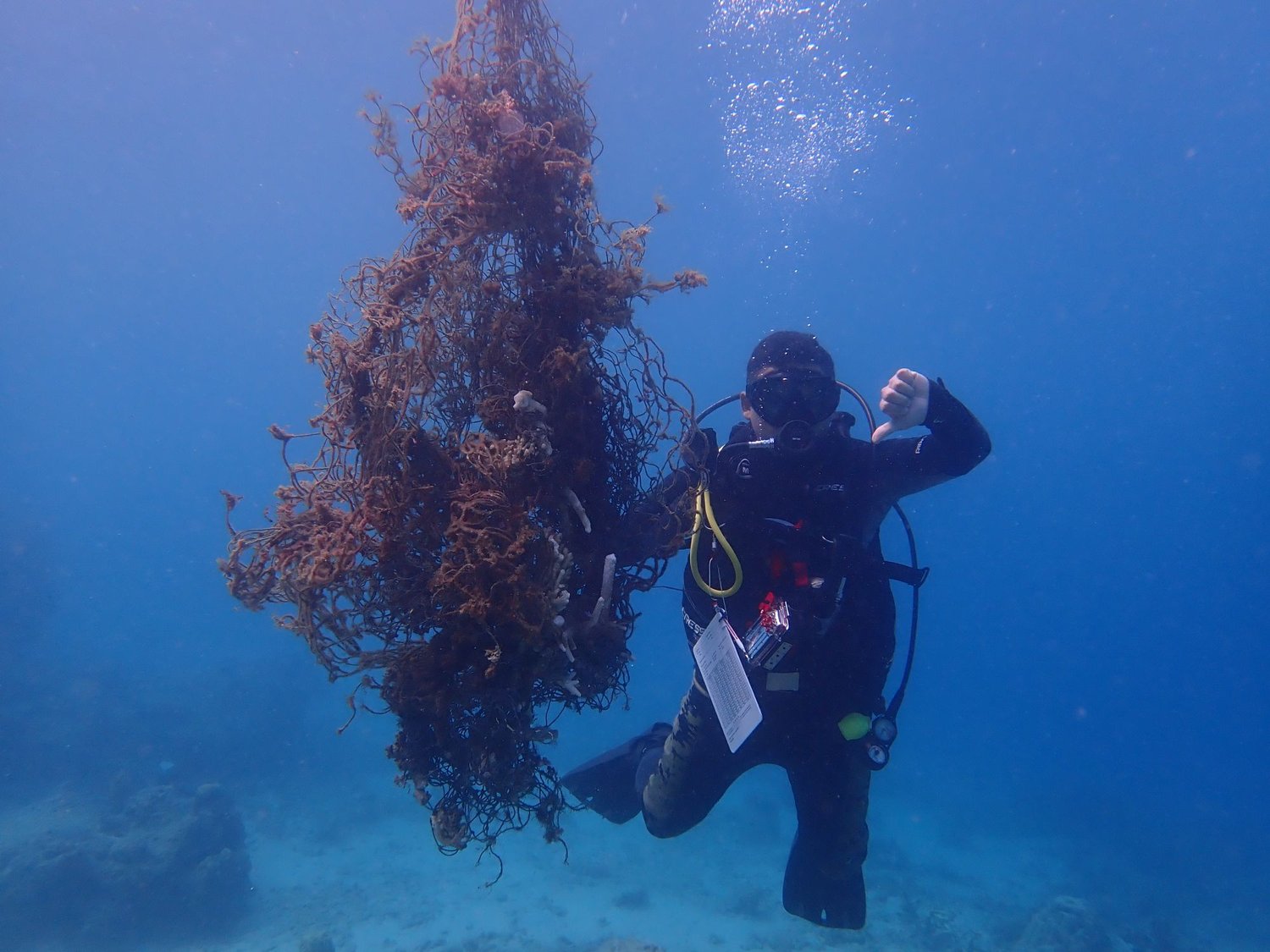 Reef+Check+Malaysia+Impacts