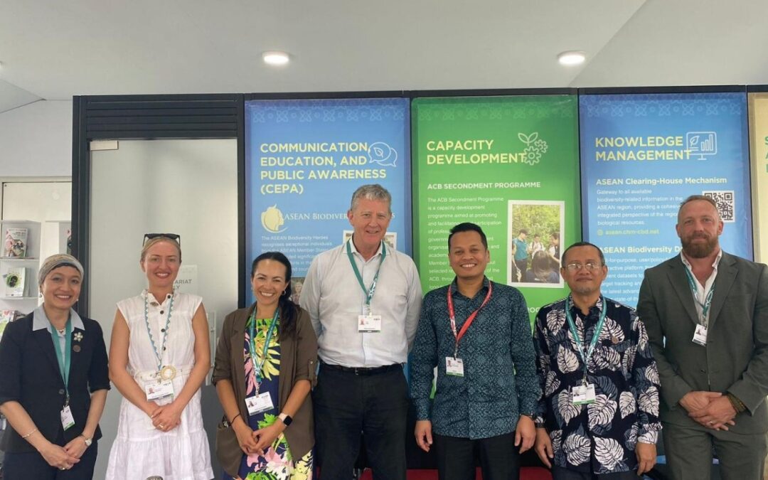 Walking Away from COP 16: What Changed, What Didn’t, and What’s Next