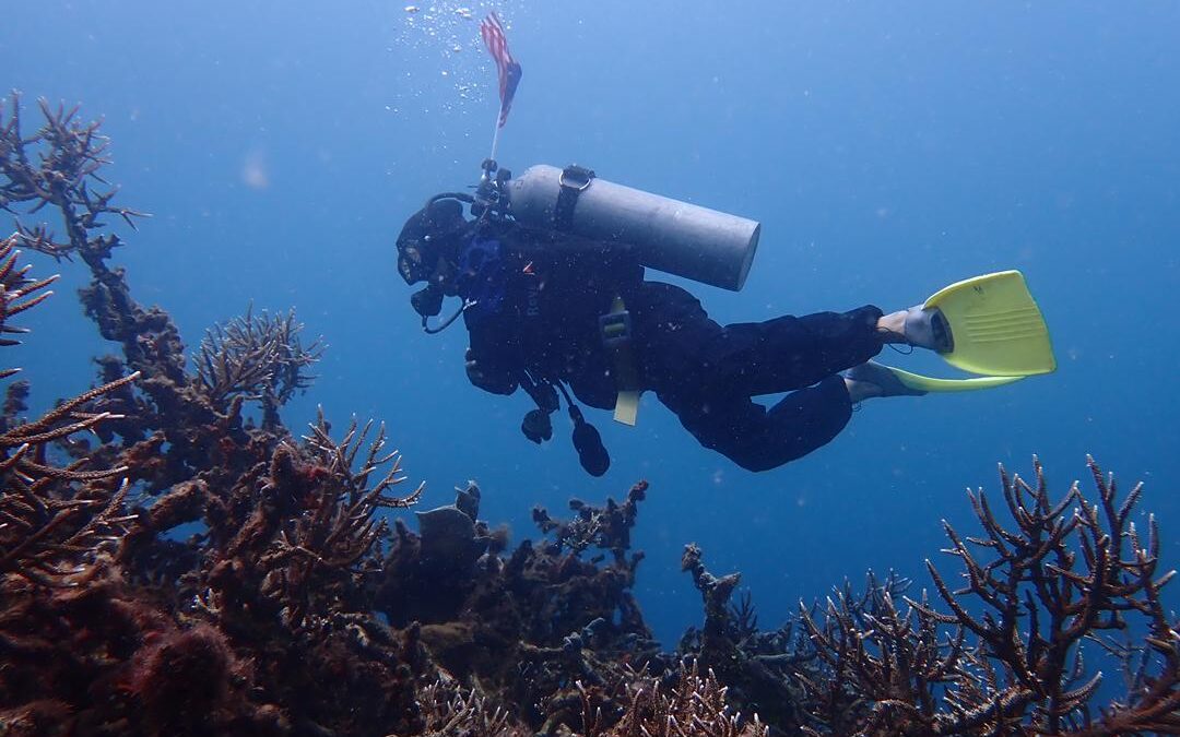 Where Did the Year Go? At Least the Oceans Got Some Good News