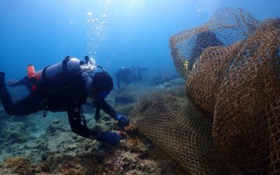Cintai Tioman: July – September 2025