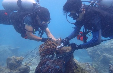 Cintai Mersing Updates: October – December 2025