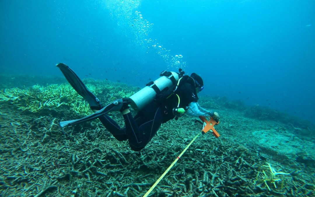 The 2025 Reef Check Survey Results and What They Mean for Our Coral Reefs