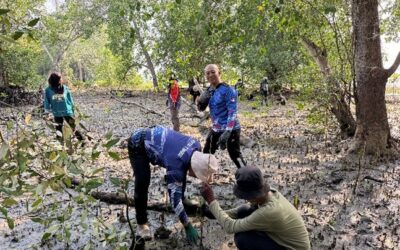 South of Johor Updates: January – March 2026