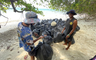 Cintai Redang Updates: January – March 2026