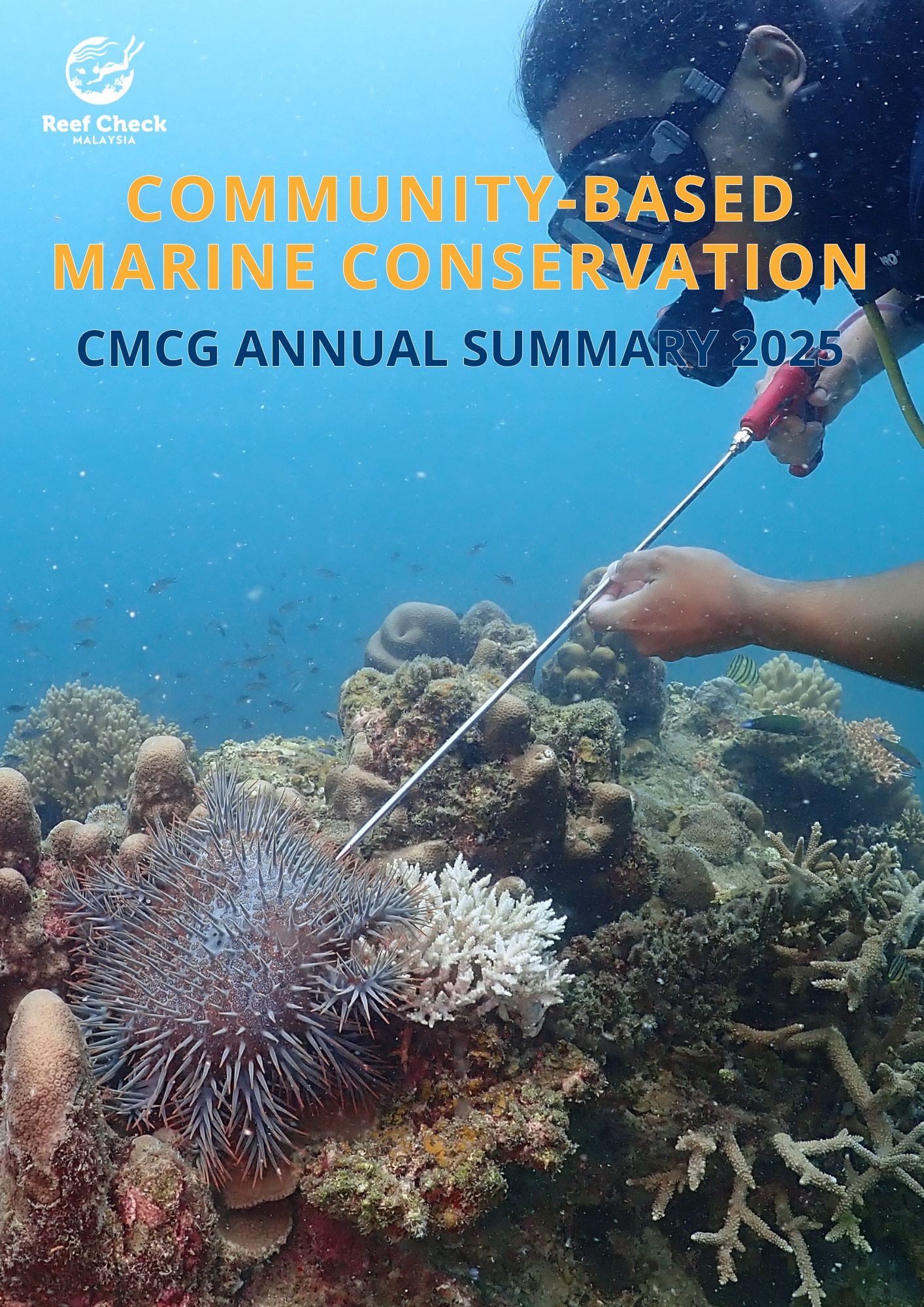 CMCG Report 2025