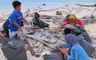 Kota Kinabalu and Mantanani Updates: July – September 2026