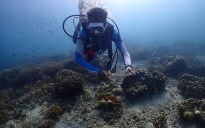 From Island Communities to Global Conversations: Taking Malaysia’s Ocean Story Further