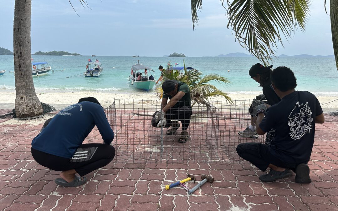 Cintai Mersing: July-September 2026